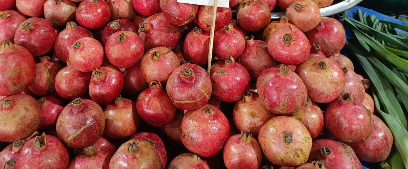 Whatsapp Image 2025 12 06 At 10.42.44