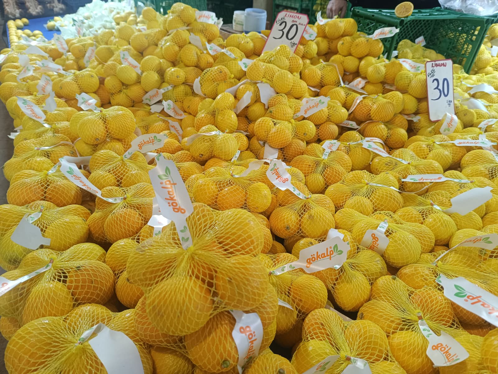 Whatsapp Image 2025 12 11 At 10.15.39 Am