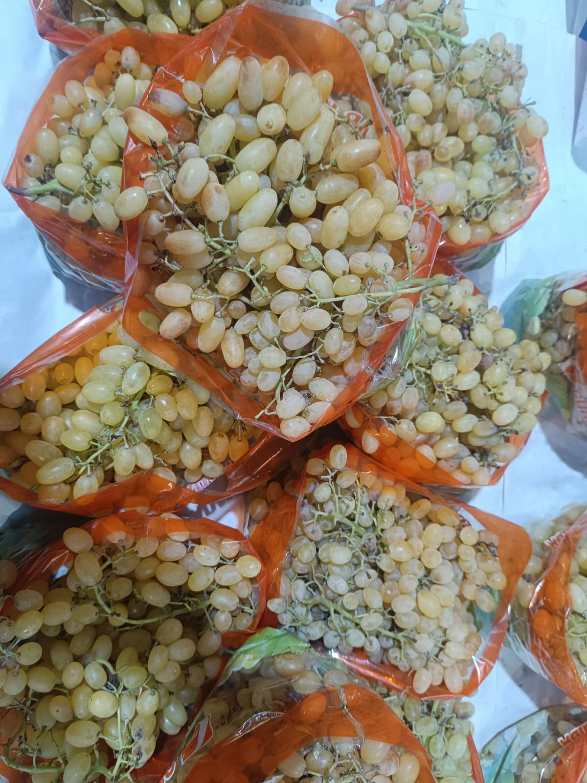 Whatsapp Image 2025 12 11 At 10.15.41 Am