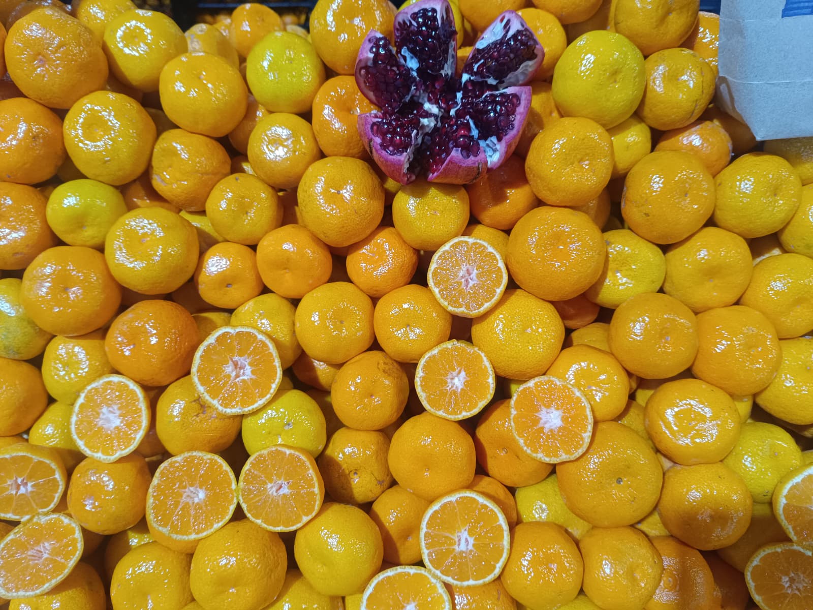 Whatsapp Image 2025 12 11 At 10.15.42 Am (1)