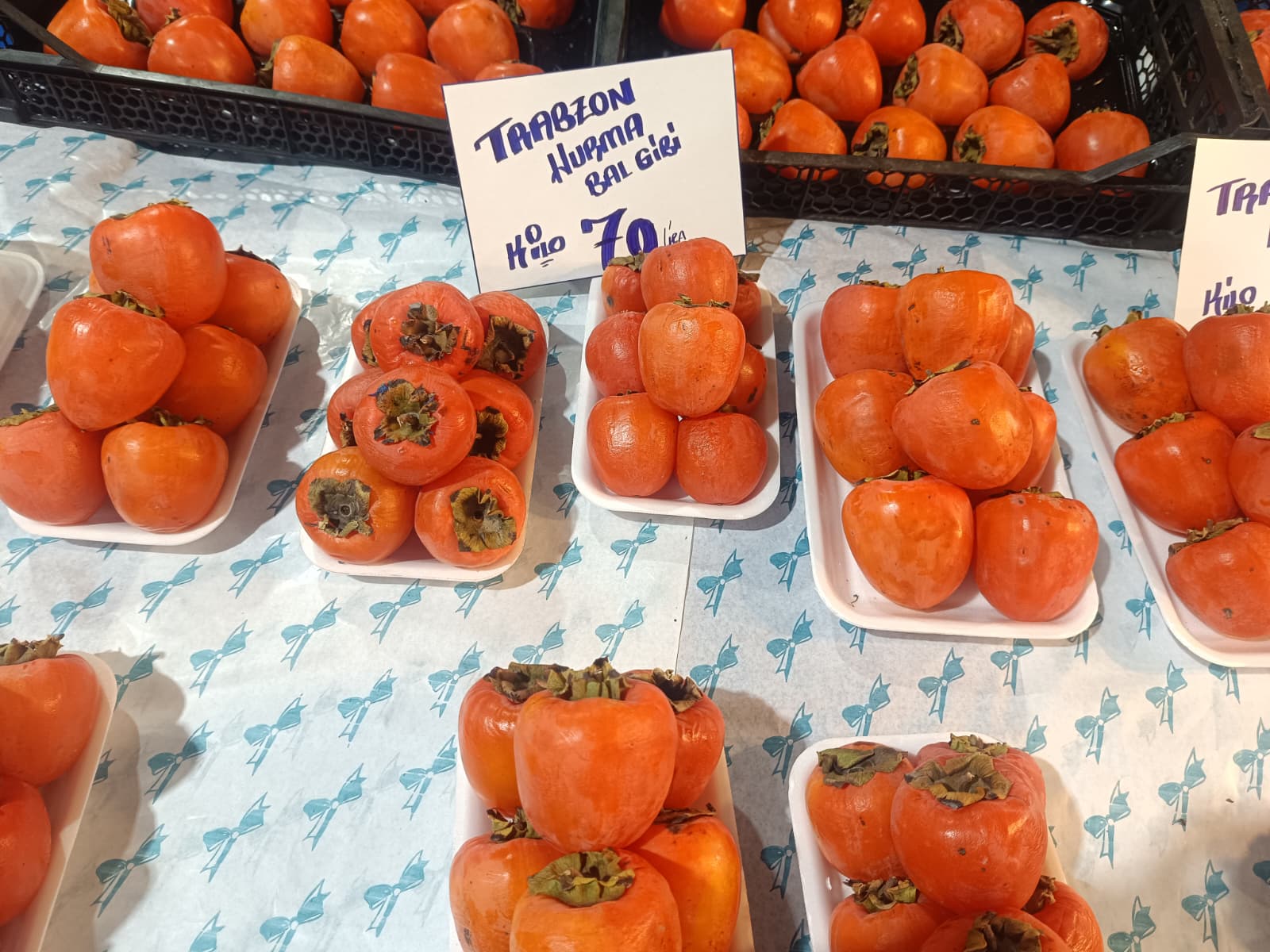 Whatsapp Image 2025 12 11 At 10.15.42 Am