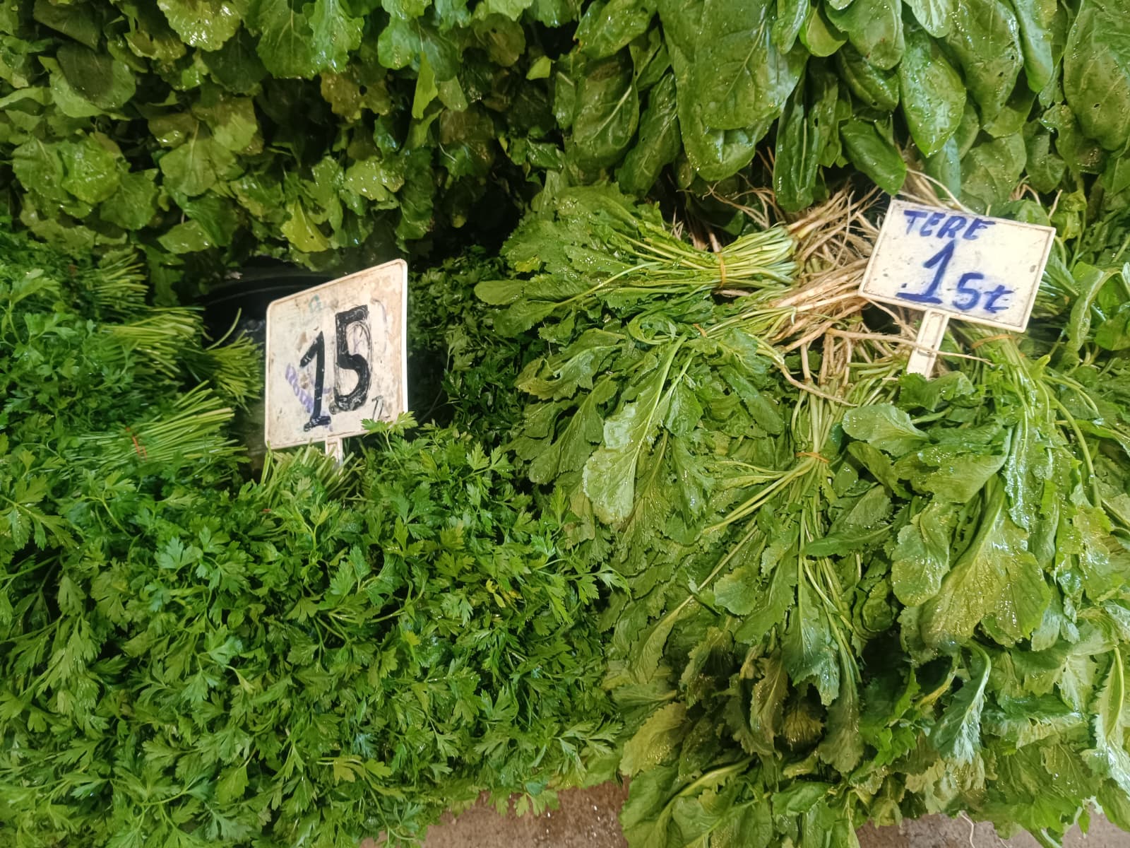 Whatsapp Image 2025 12 11 At 10.15.46 Am