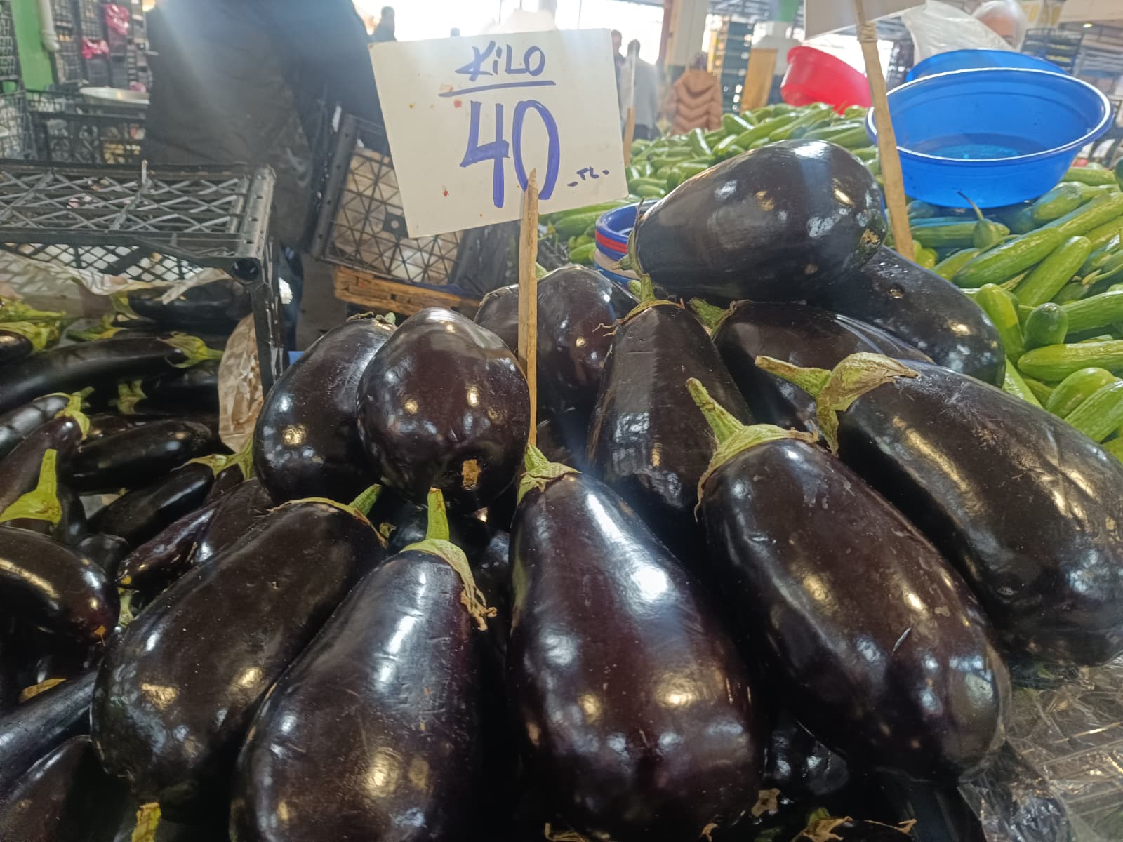 Whatsapp Image 2025 12 11 At 10.15.50 Am