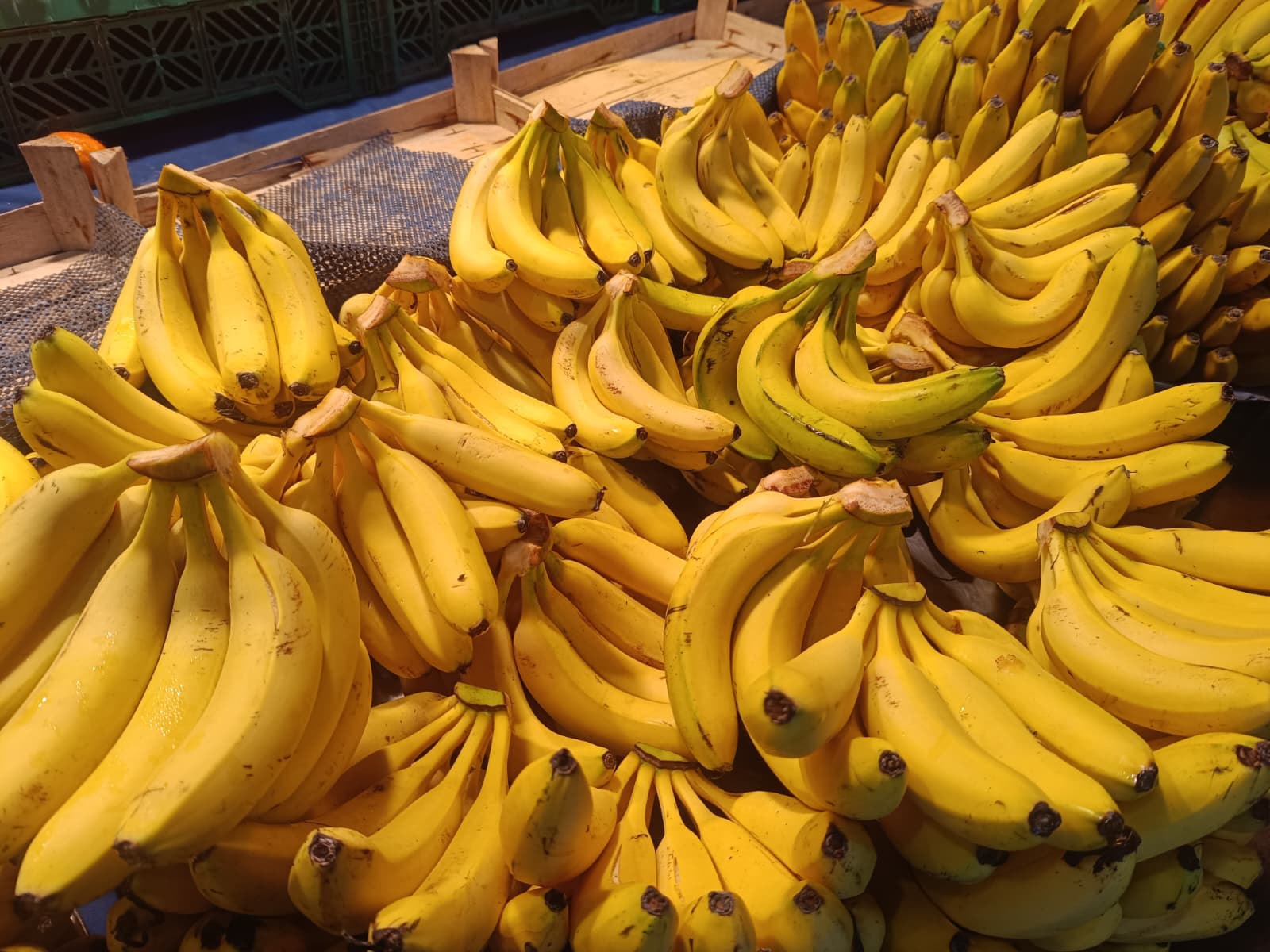 Whatsapp Image 2025 12 11 At 10.15.52 Am (1)