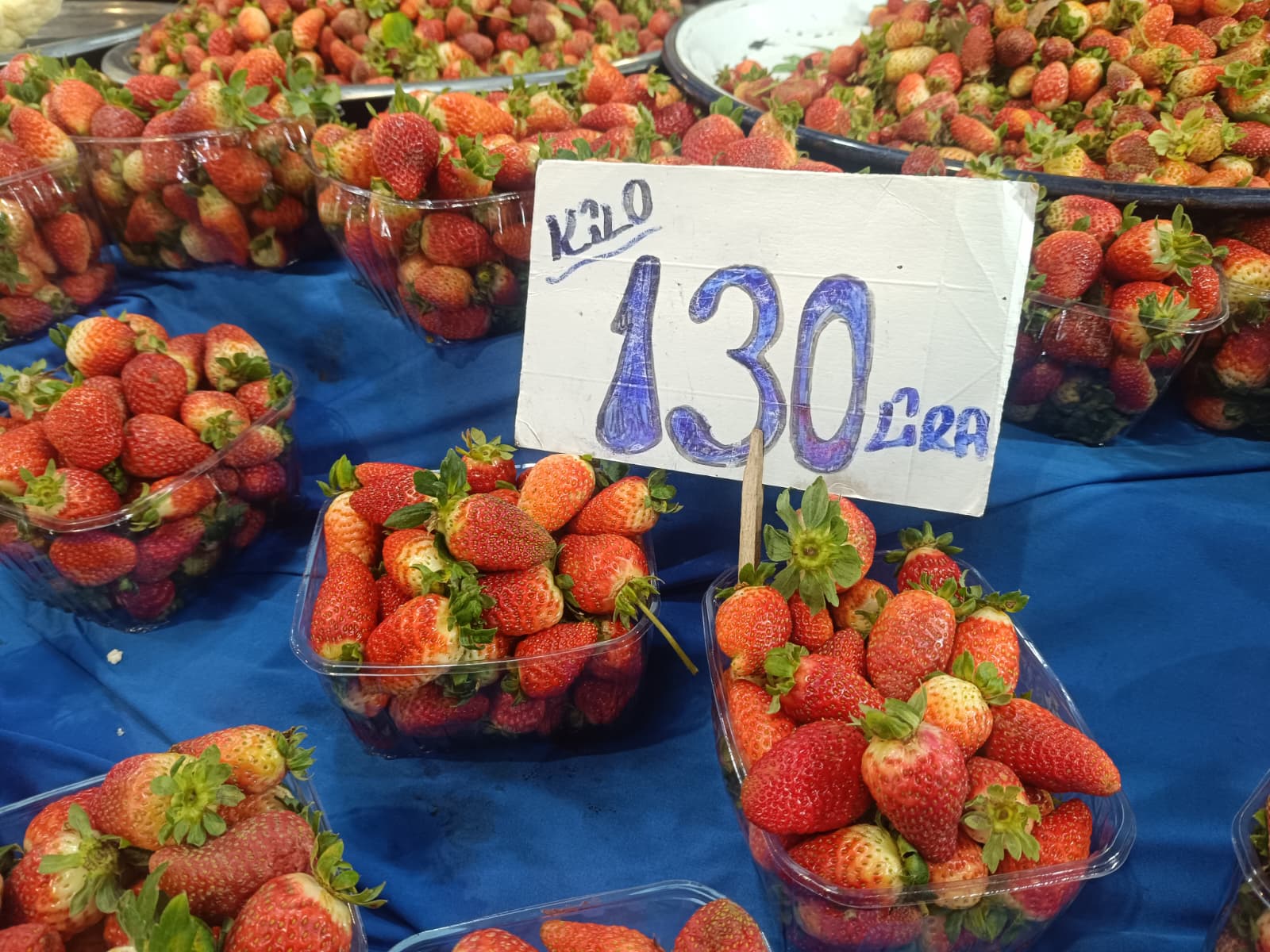 Whatsapp Image 2025 12 13 At 10.03.24 (1)