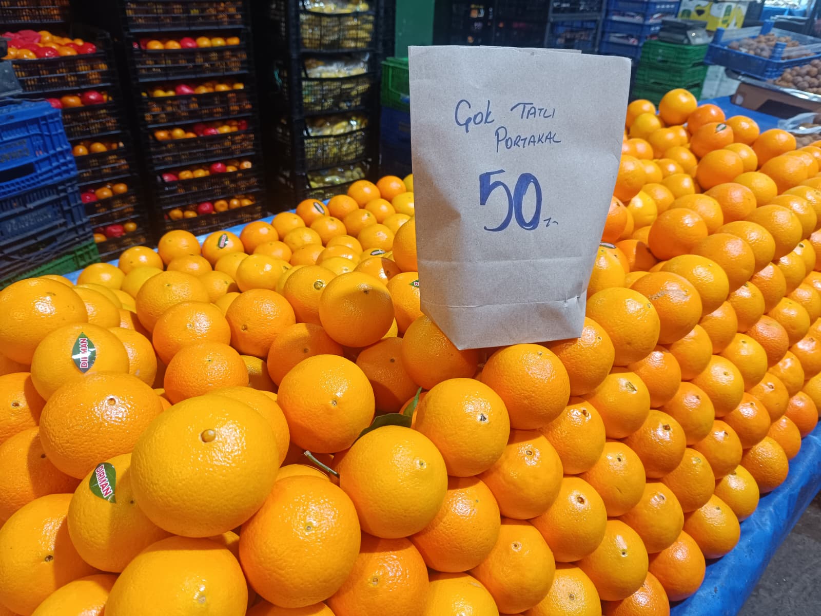 Whatsapp Image 2025 12 13 At 10.03.25