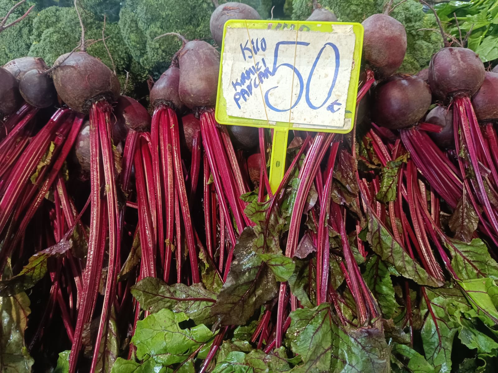 Whatsapp Image 2025 12 13 At 10.03.26 (1)