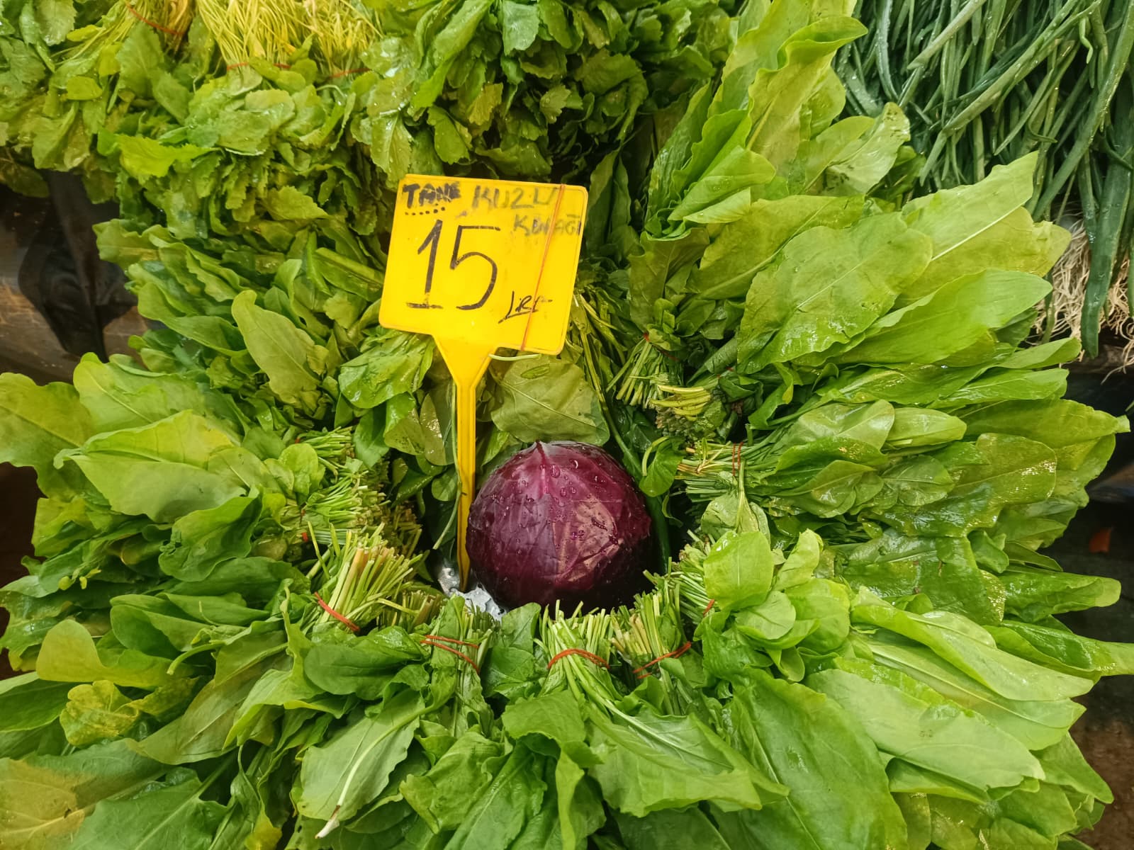 Whatsapp Image 2025 12 13 At 10.03.26 (2)