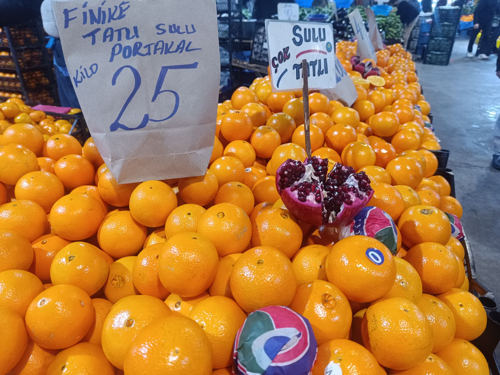 Whatsapp Image 2025 12 13 At 10.03.26