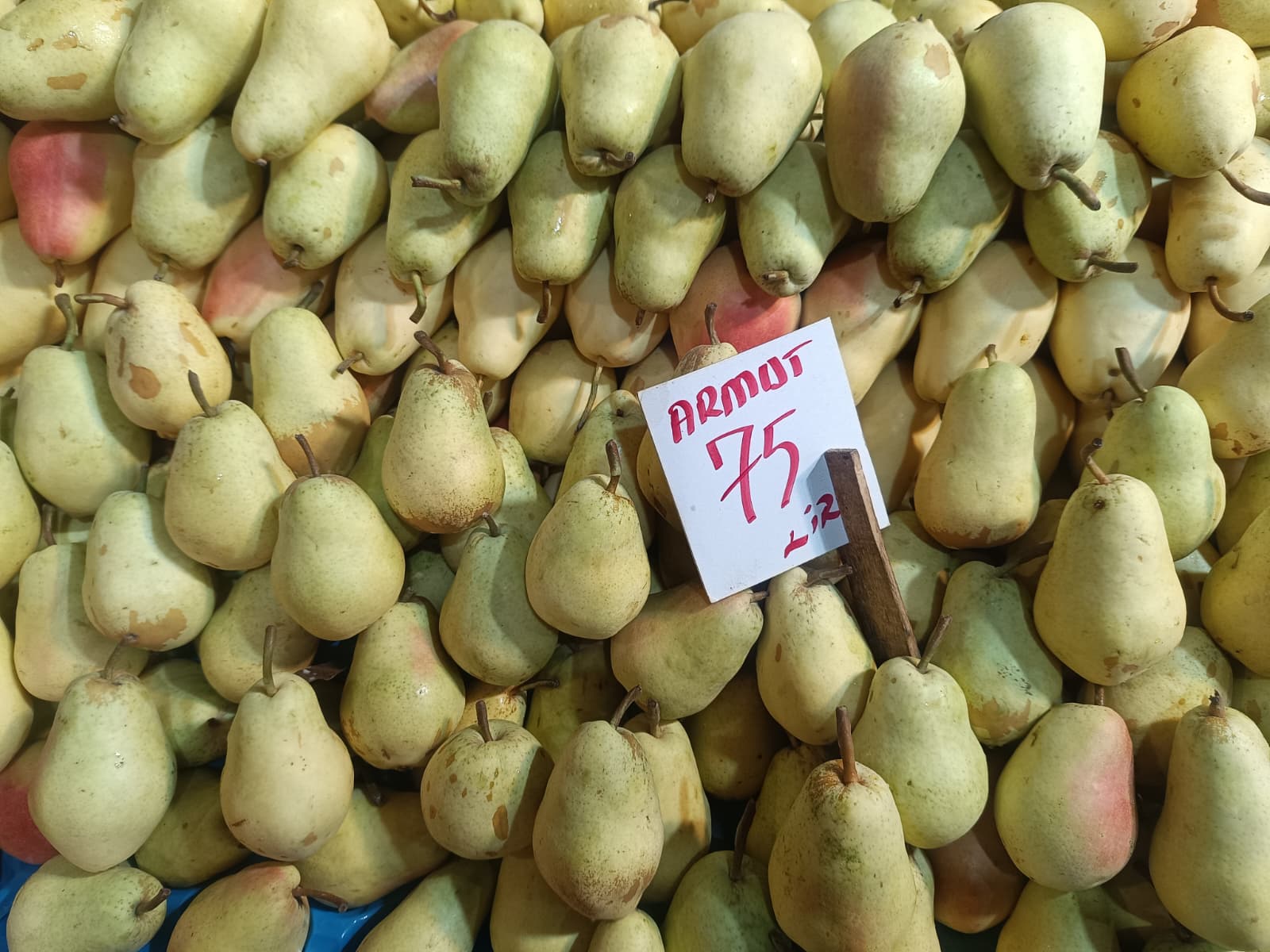 Whatsapp Image 2025 12 13 At 10.03.34