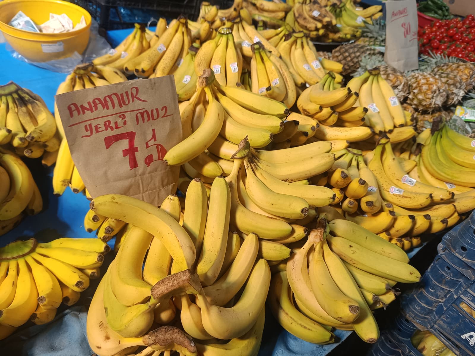 Whatsapp Image 2025 12 13 At 10.03.36