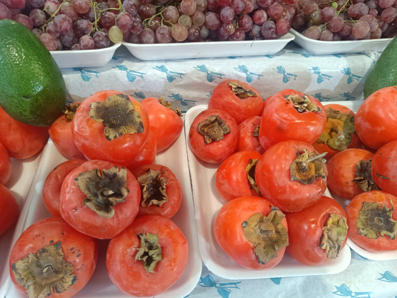 Whatsapp Image 2025 12 13 At 10.03.37 (1)