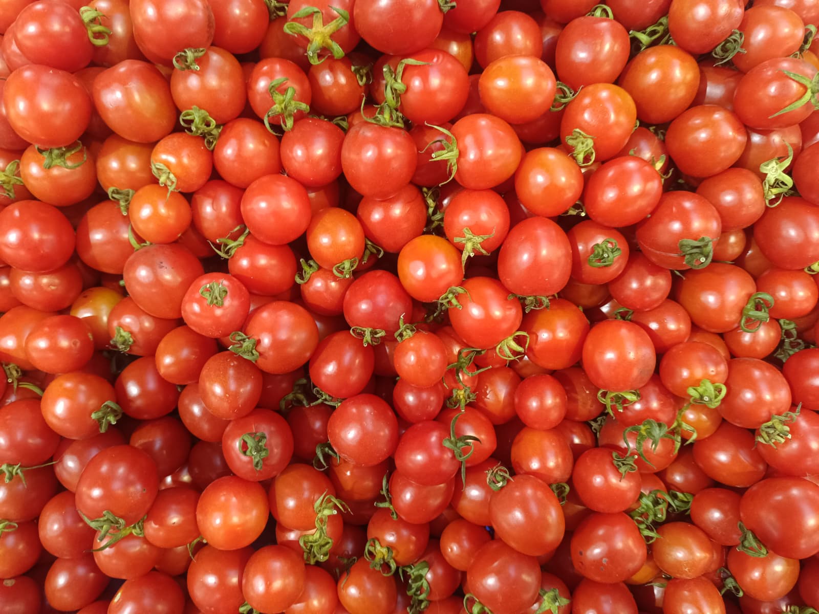 Whatsapp Image 2025 12 13 At 10.03.37