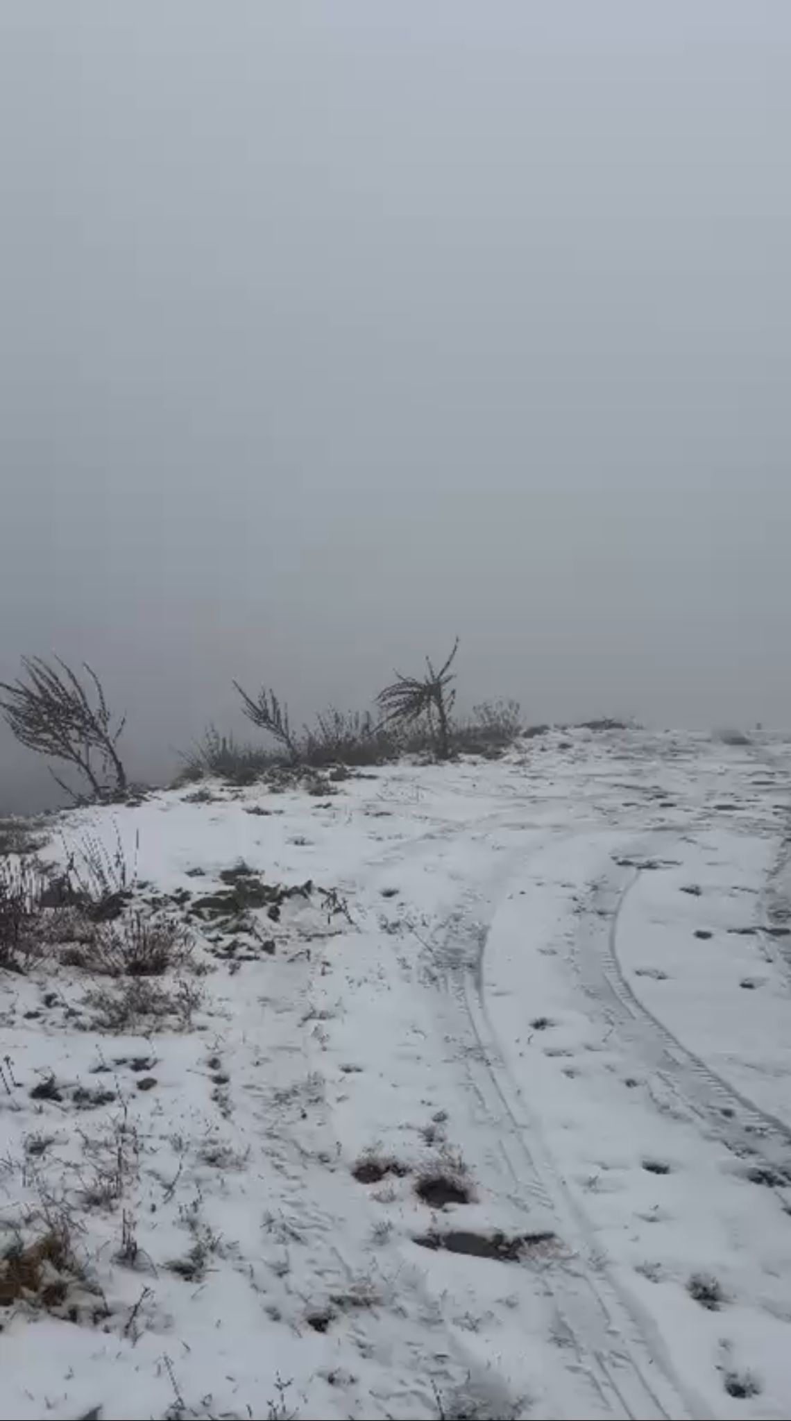 Whatsapp Image 2025 12 13 At 5.37.57 Pm