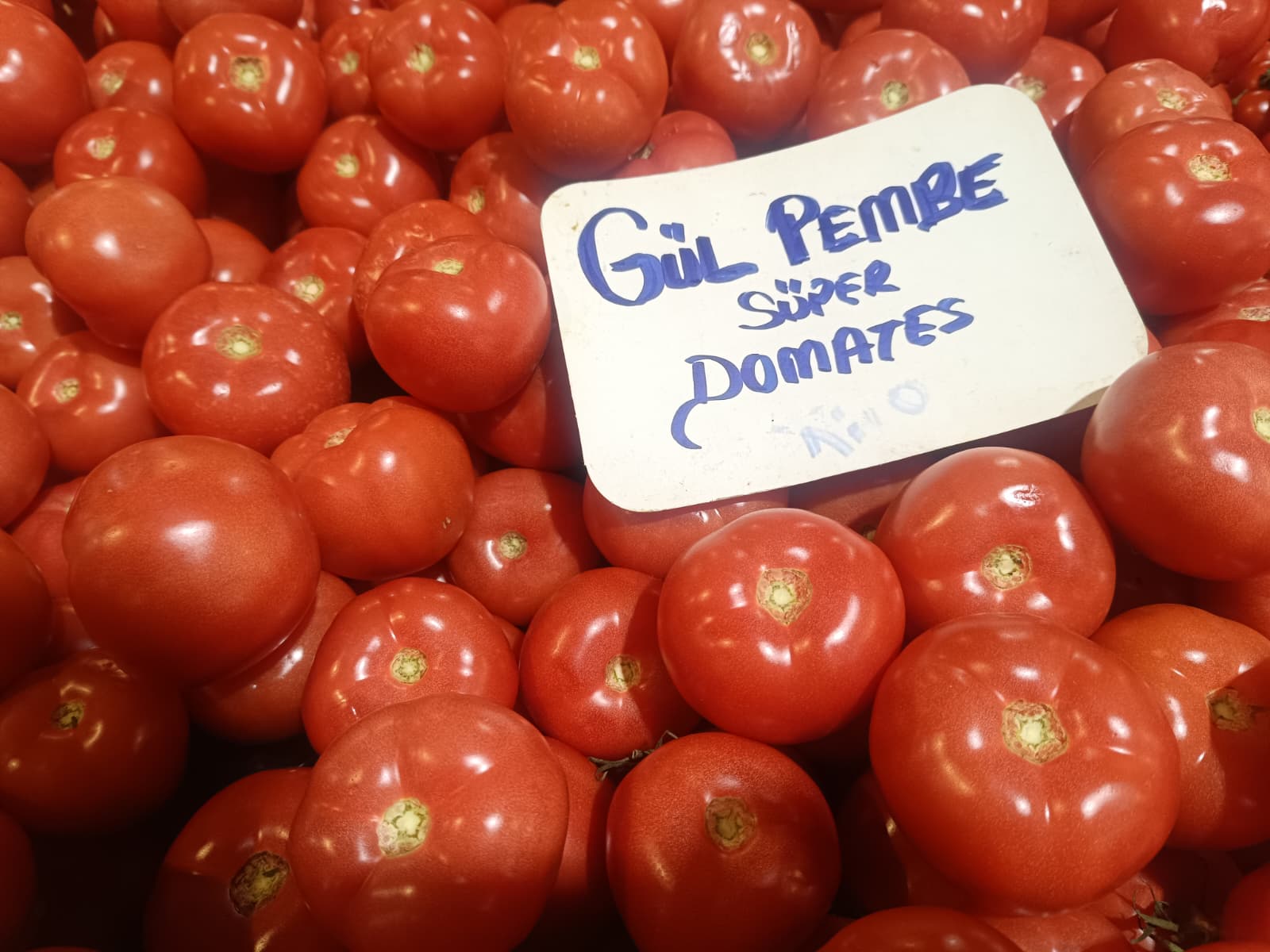 Whatsapp Image 2025 12 18 At 11.10.28 (1)