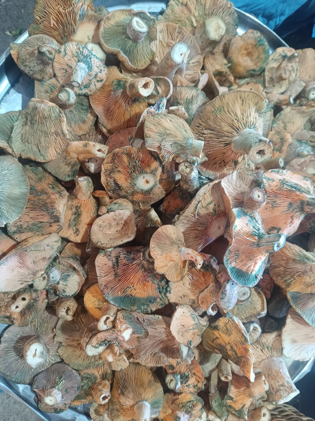 Whatsapp Image 2025 12 18 At 11.10.28