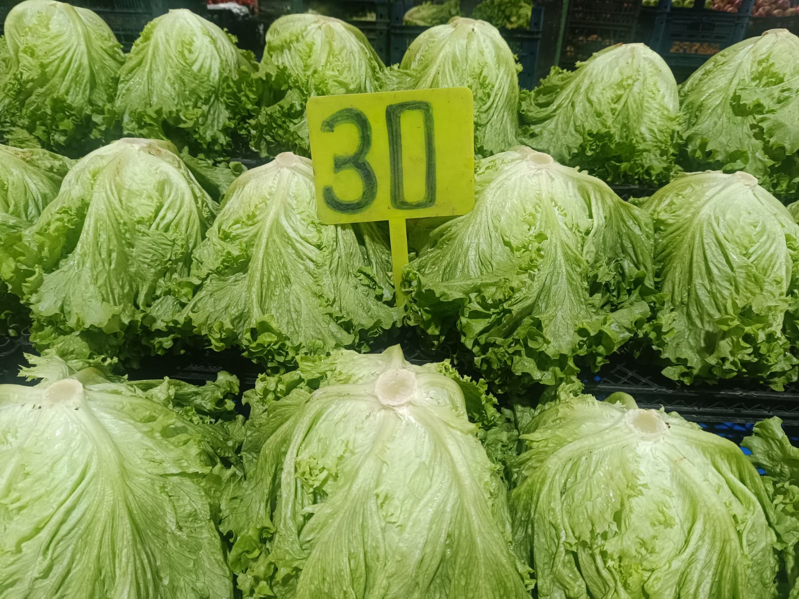 Whatsapp Image 2025 12 18 At 11.10.30