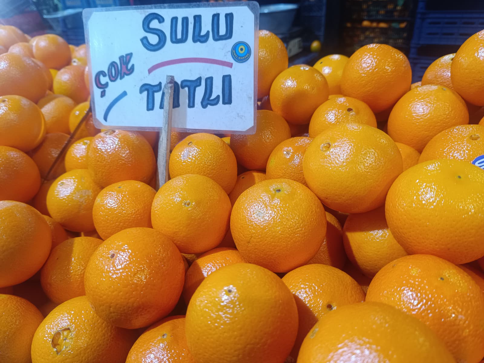 Whatsapp Image 2025 12 18 At 11.10.31 (1)