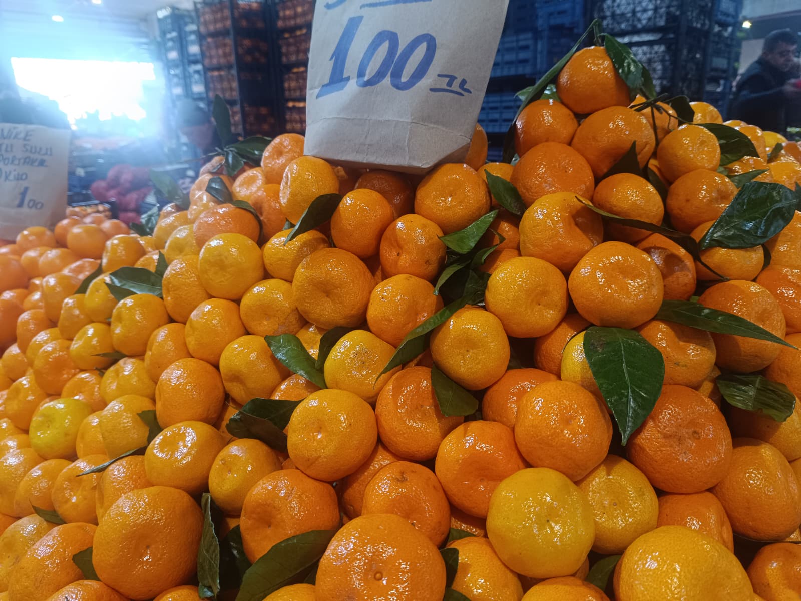 Whatsapp Image 2025 12 18 At 11.10.31