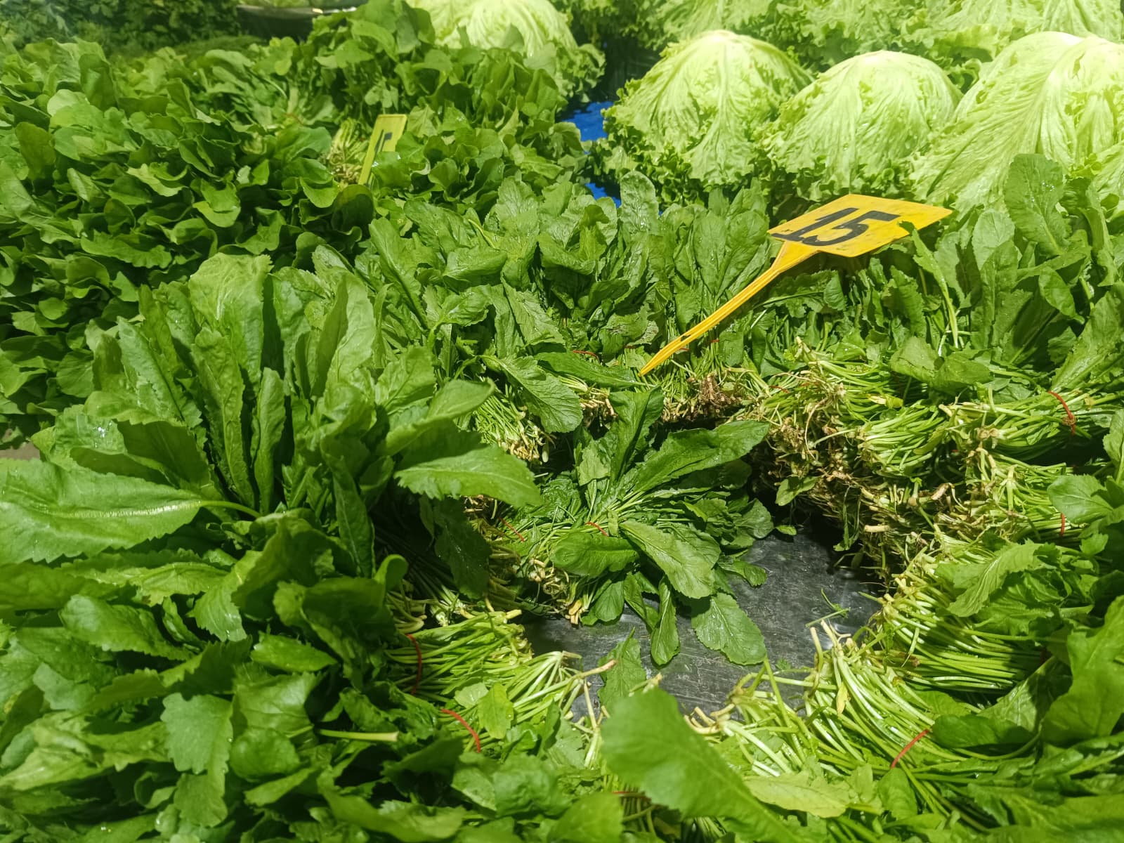 Whatsapp Image 2025 12 18 At 11.10.32