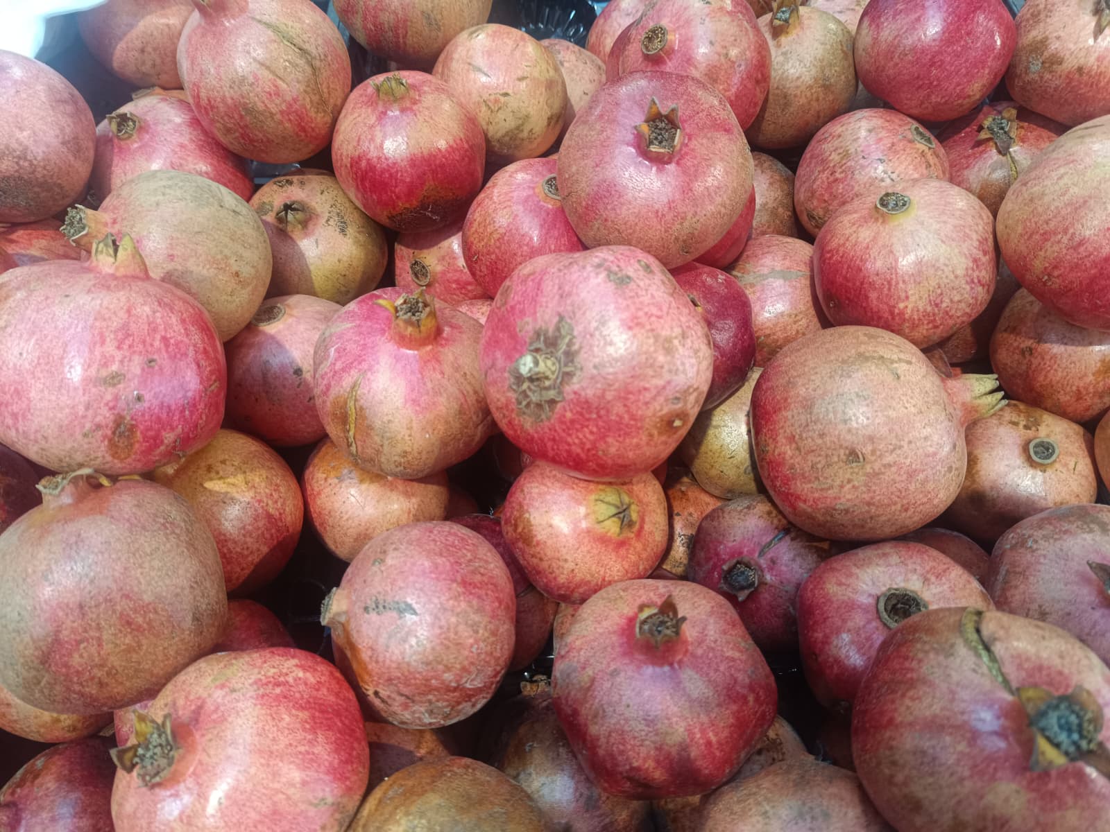 Whatsapp Image 2025 12 18 At 11.10.45 (1)