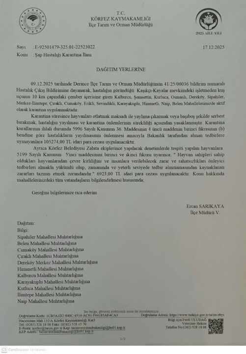 Whatsapp Image 2025 12 18 At 17.06.08