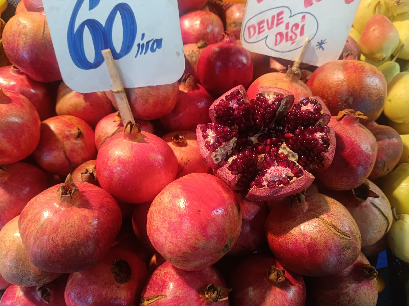 Whatsapp Image 2025 12 20 At 10.35.18 (2)