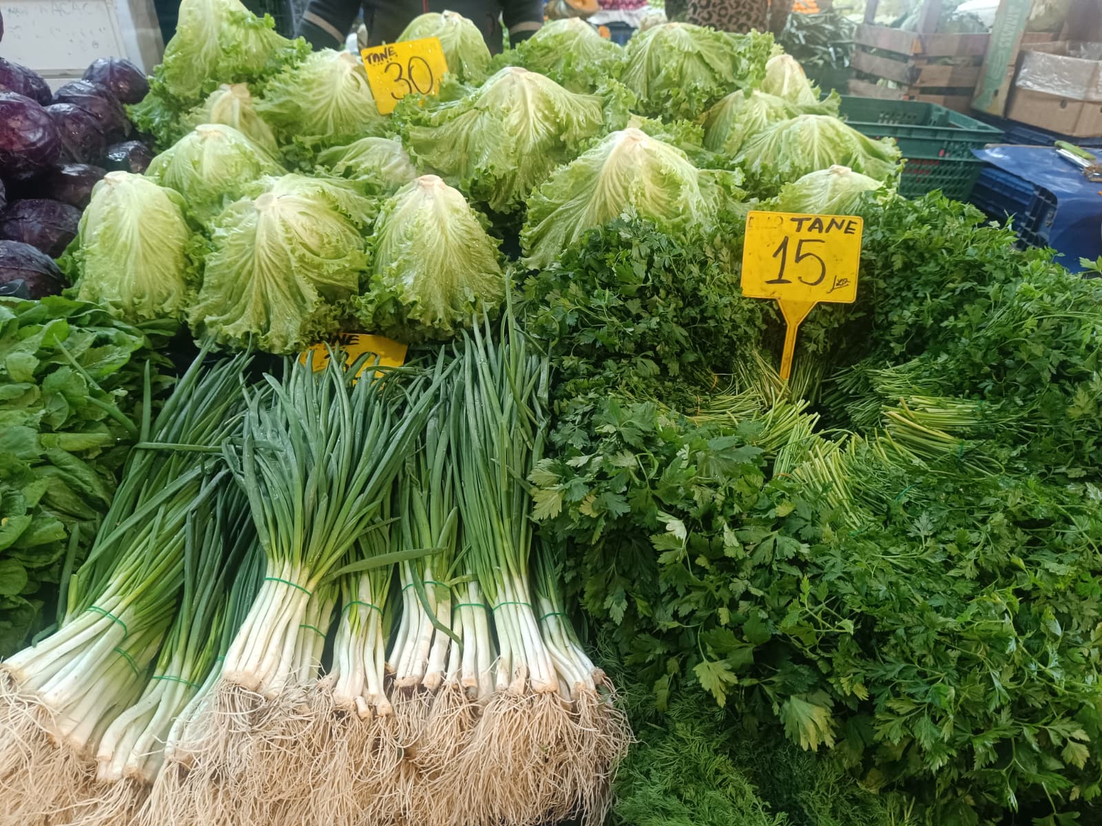 Whatsapp Image 2025 12 20 At 10.35.18