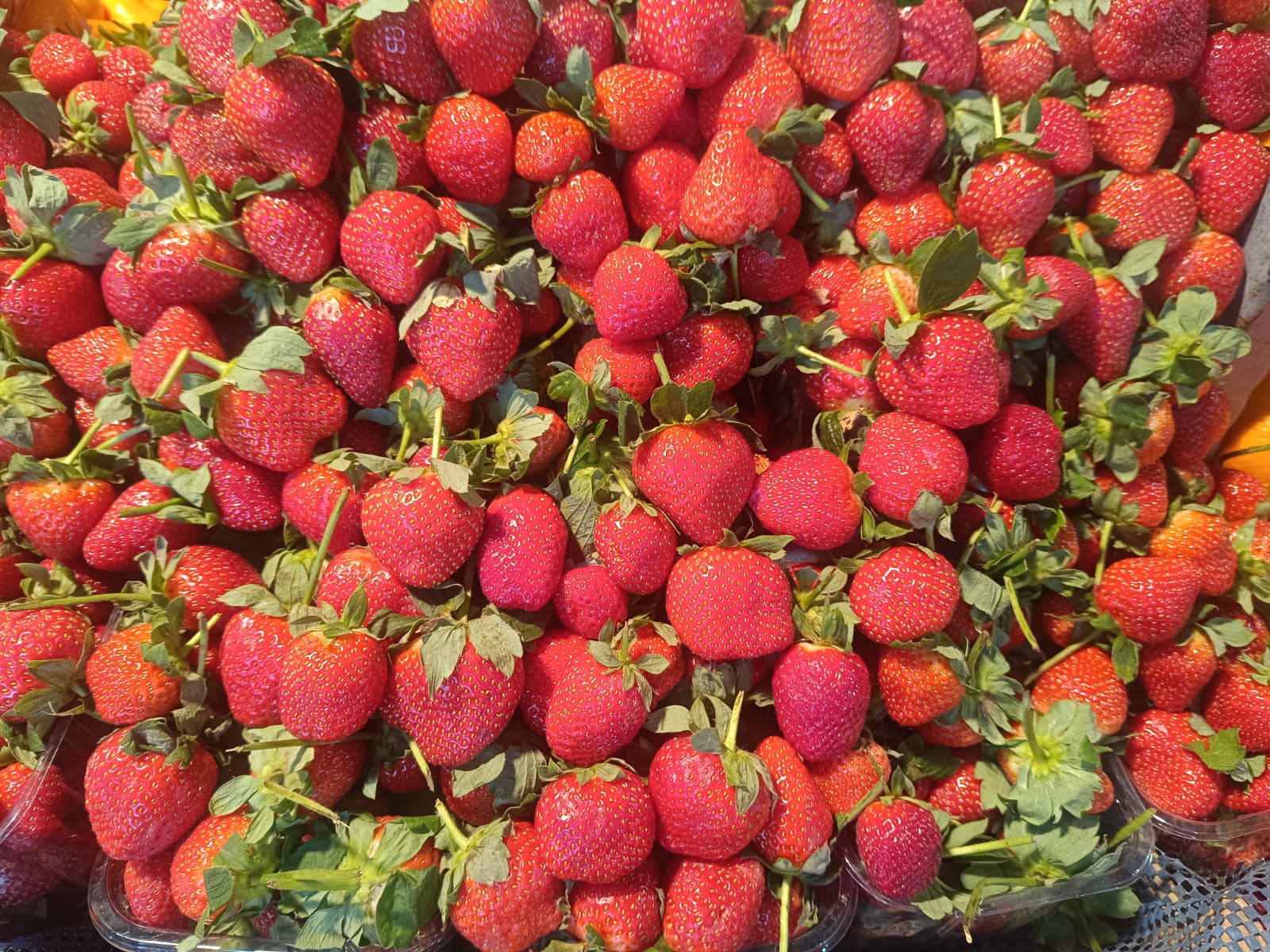 Whatsapp Image 2025 12 20 At 10.35.24