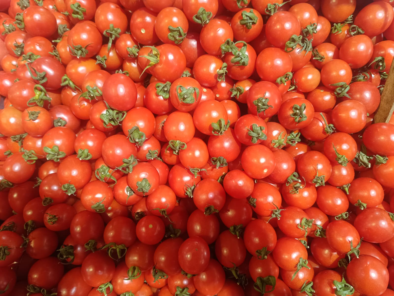 Whatsapp Image 2025 12 20 At 10.35.29 (1)