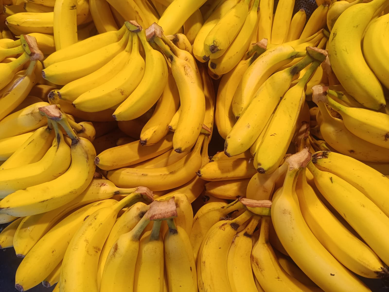 Whatsapp Image 2025 12 20 At 10.35.29