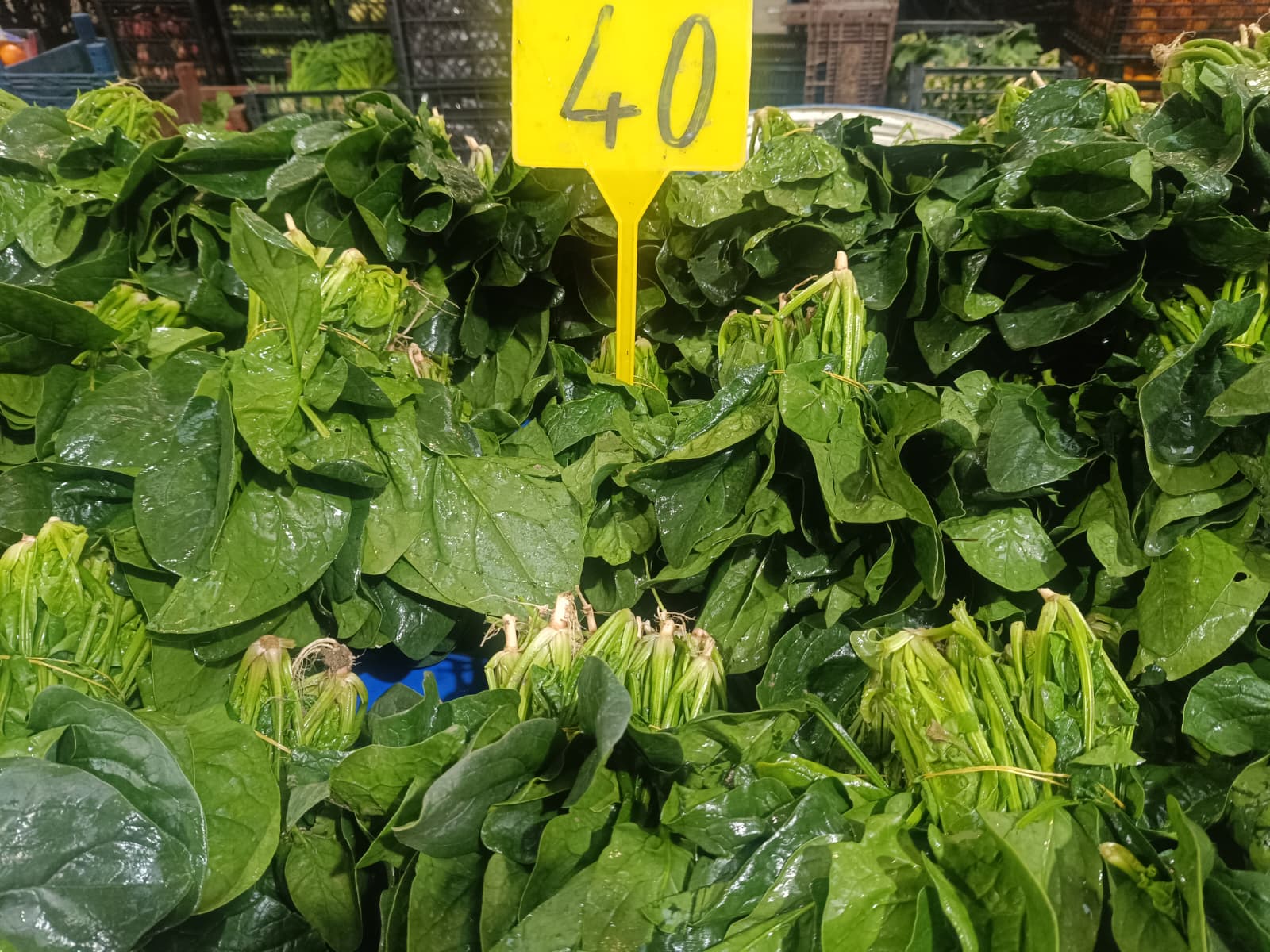 Whatsapp Image 2025 12 20 At 10.35.33