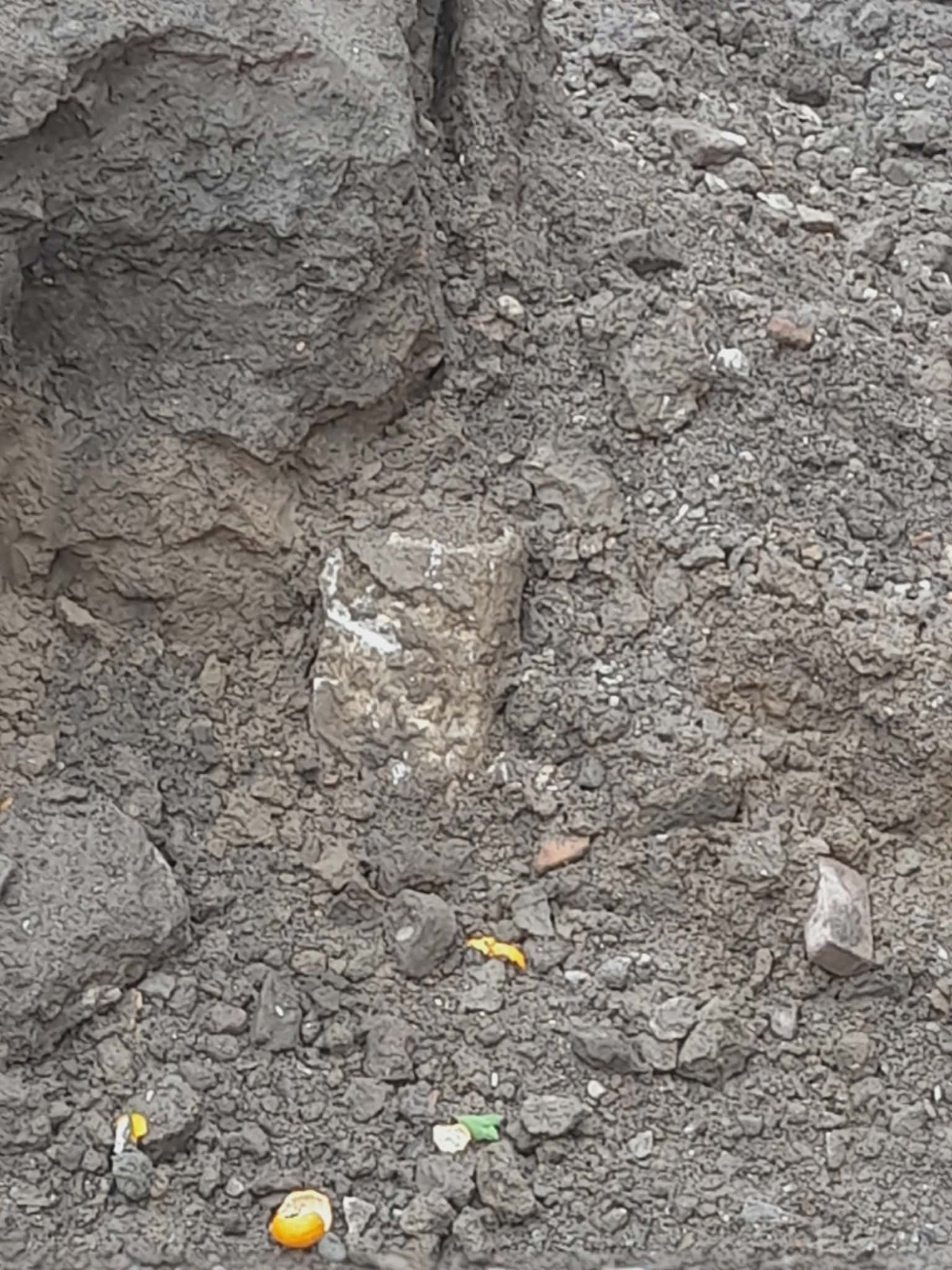 Whatsapp Image 2025 12 22 At 8.28.15 Pm