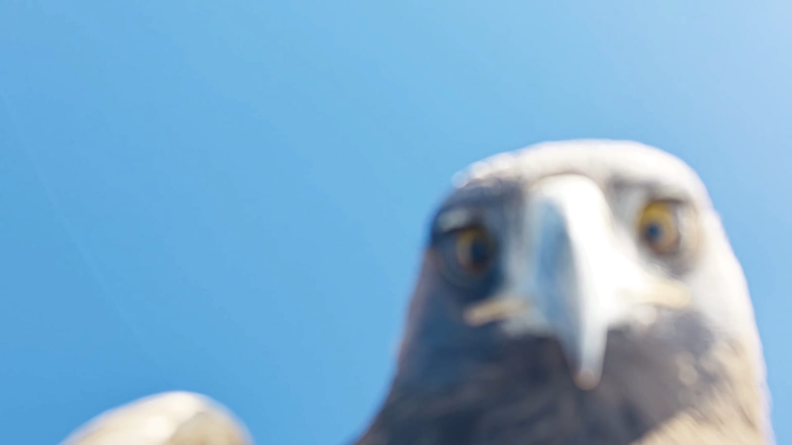 Whatsapp Image 2025 12 24 At 12.56.26 (1)