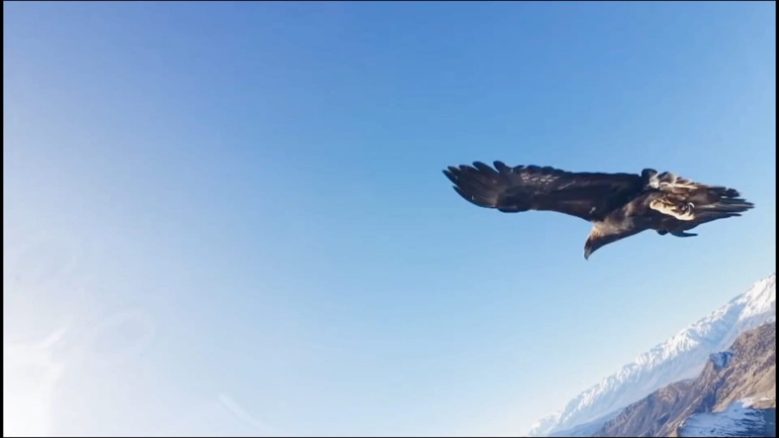 Whatsapp Image 2025 12 24 At 12.56.26