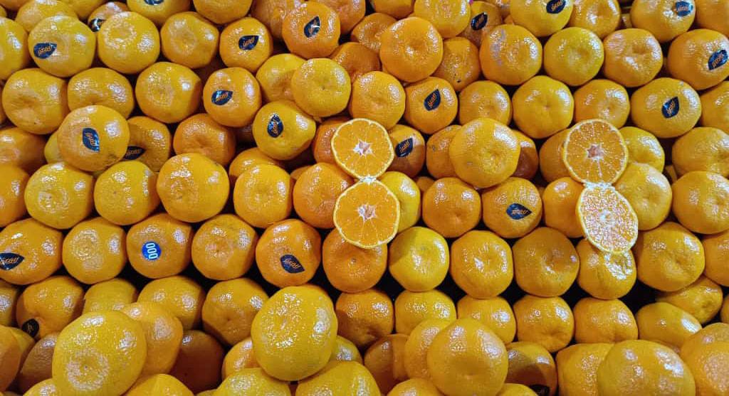 Whatsapp Image 2025 12 25 At 11.02.34 Am (1)