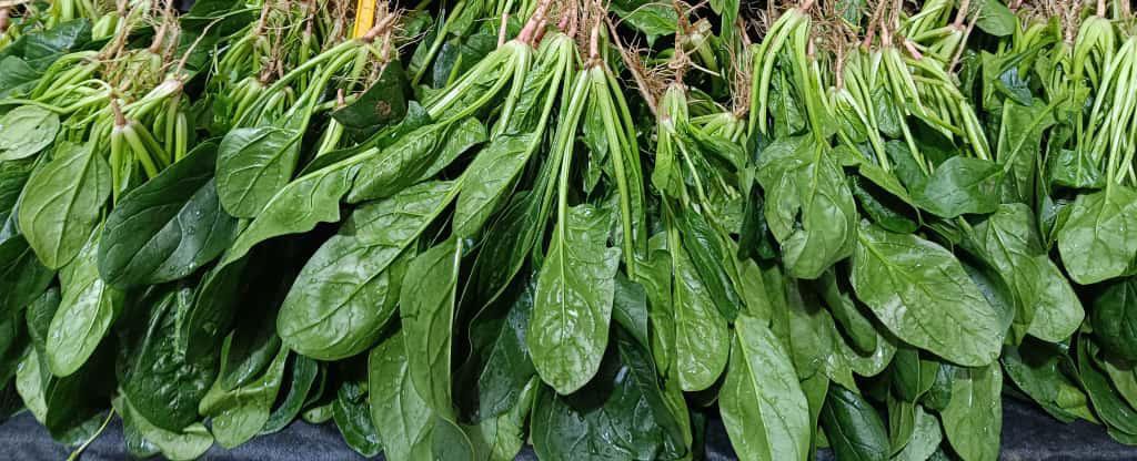 Whatsapp Image 2025 12 25 At 11.02.34 Am