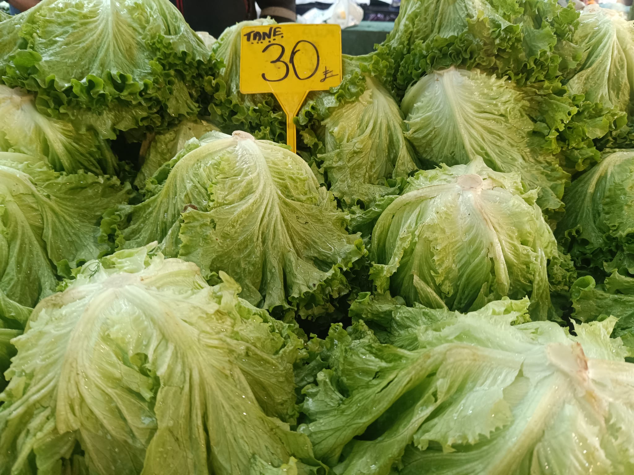 Whatsapp Image 2025 12 25 At 11.02.57 Am