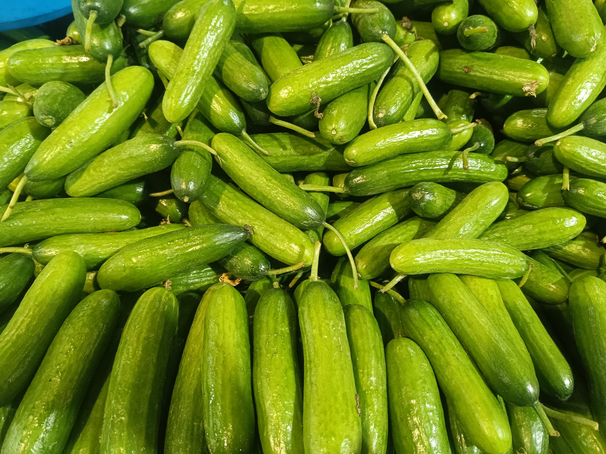 Whatsapp Image 2025 12 25 At 11.02.58 Am (2)