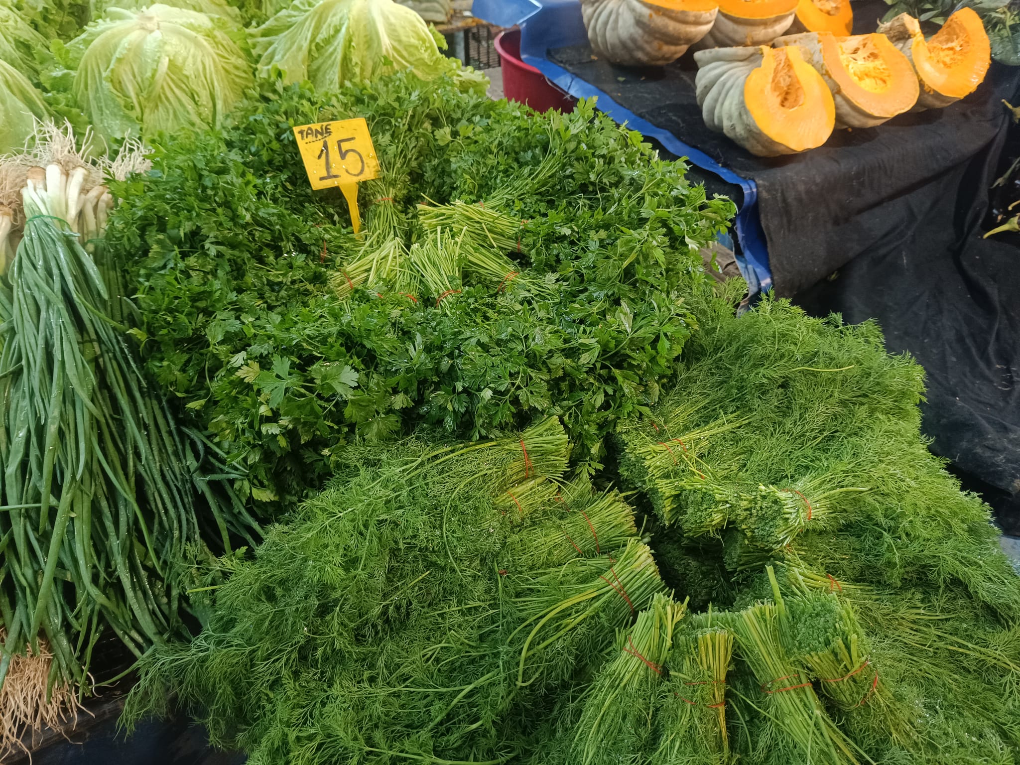 Whatsapp Image 2025 12 25 At 11.02.58 Am