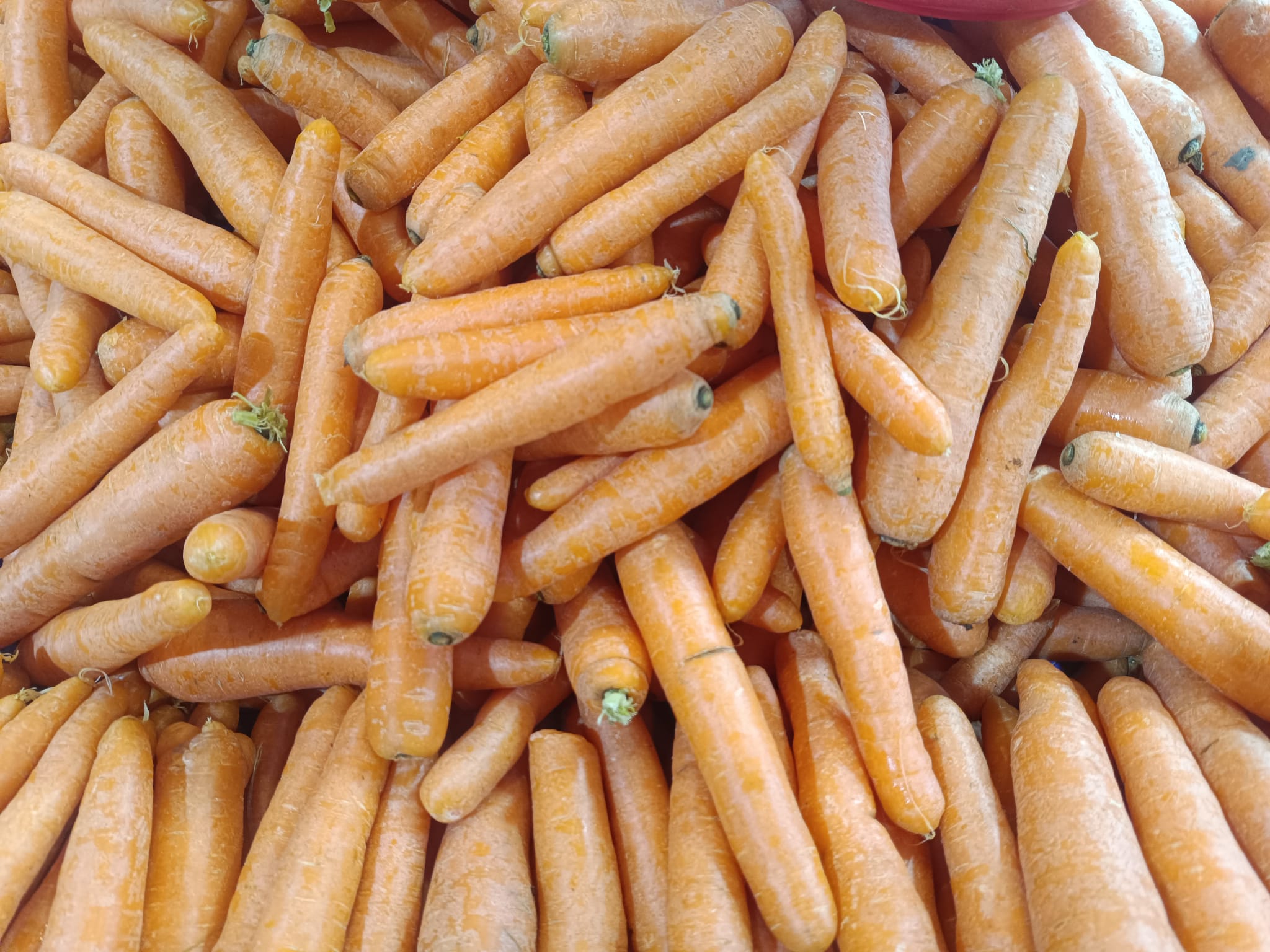 Whatsapp Image 2025 12 25 At 11.02.59 Am