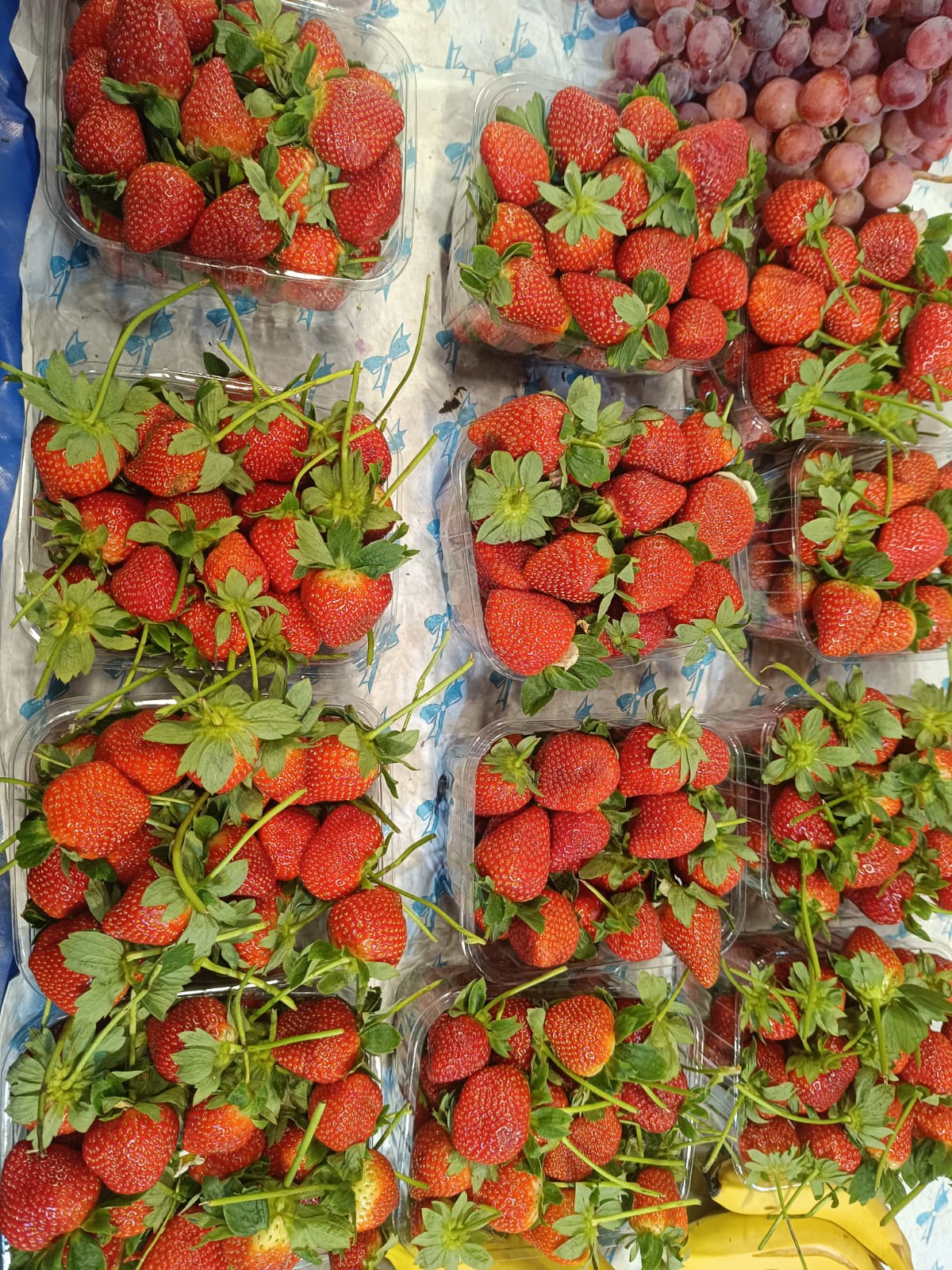 Whatsapp Image 2025 12 27 At 10.18.47