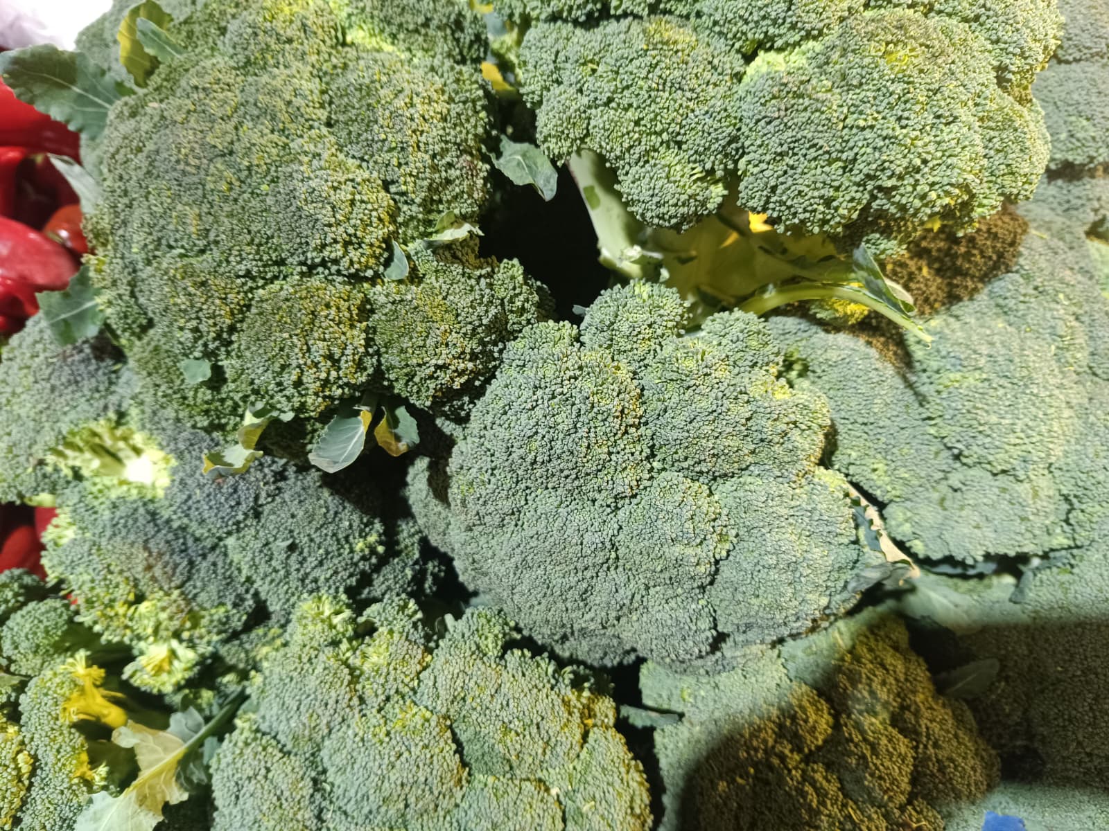 Whatsapp Image 2025 12 27 At 10.18.48