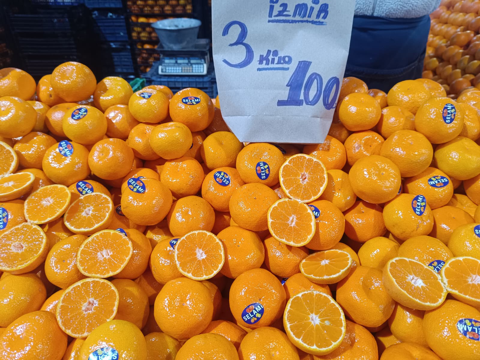 Whatsapp Image 2025 12 27 At 10.19.00