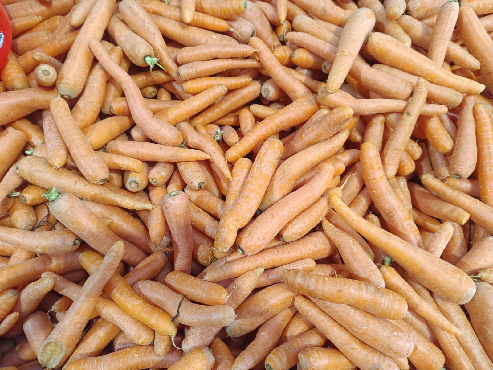 Whatsapp Image 2025 12 27 At 10.19.02