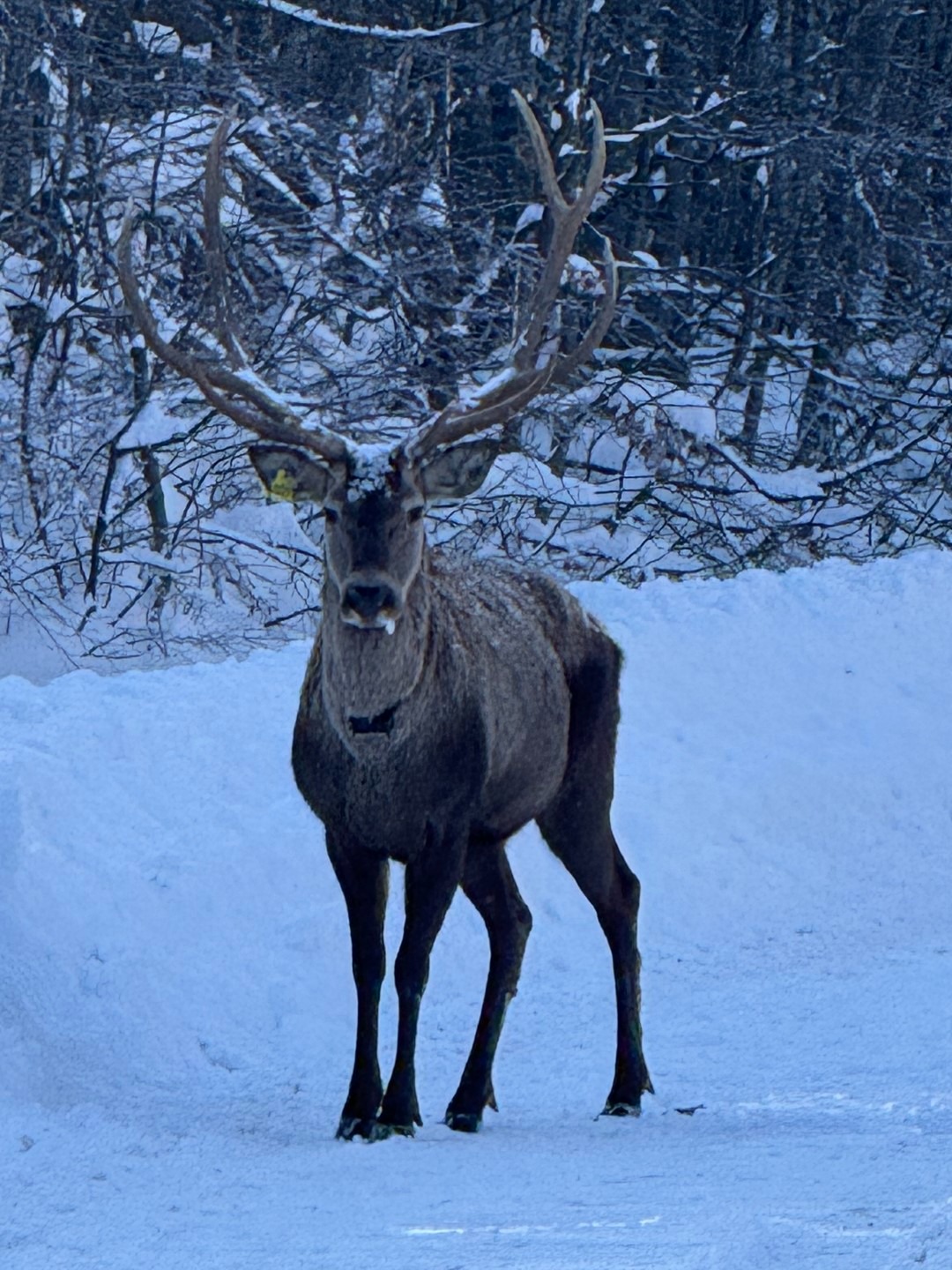 Whatsapp Image 2025 12 30 At 12.42.27 (1)