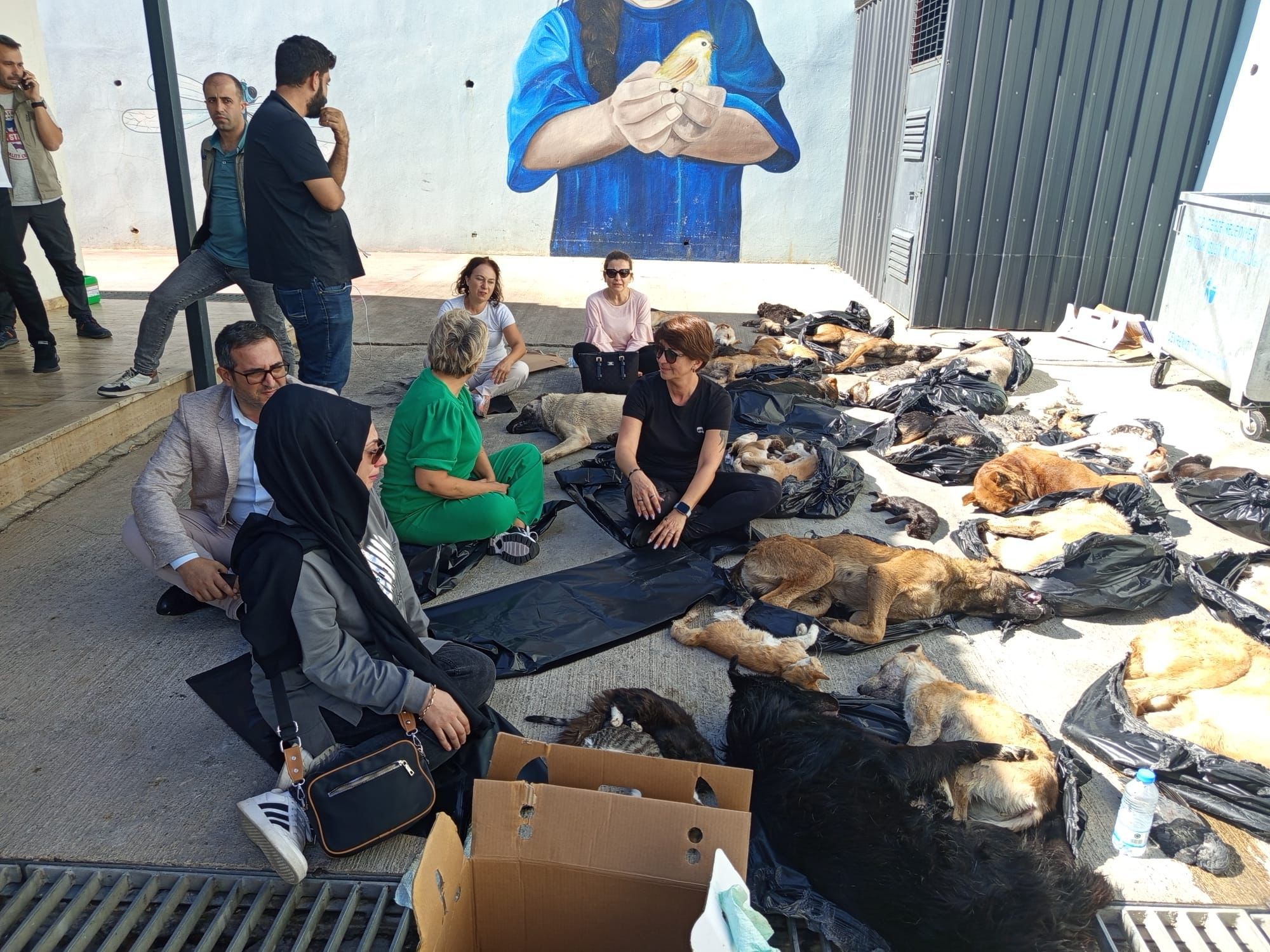 Whatsapp Image 2025 12 31 At 14.49.01