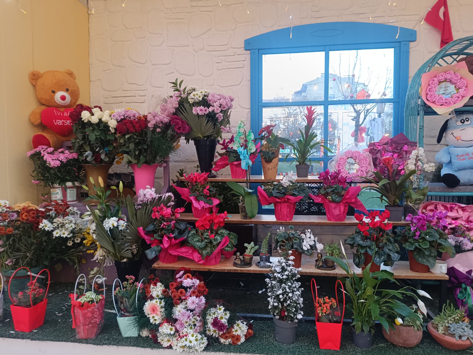 Whatsapp Image 2025 12 31 At 17.55.39 (1)