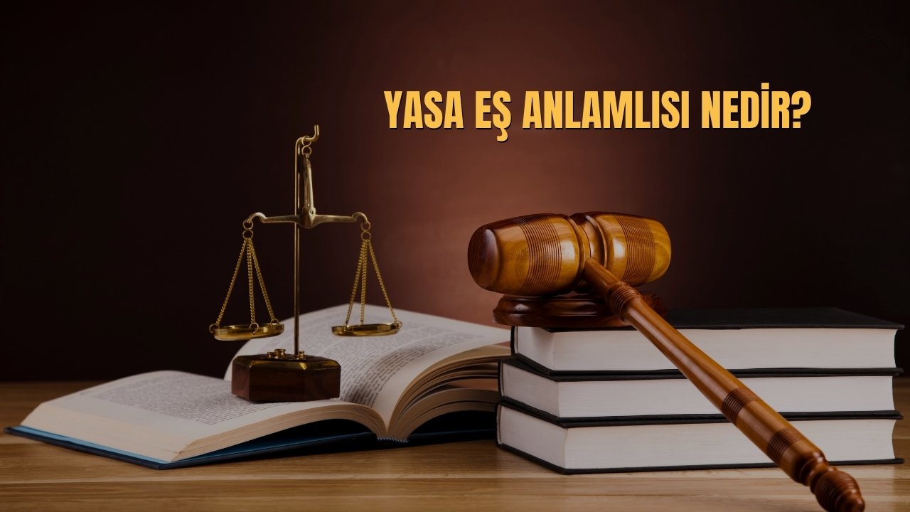 Yasa Es Anlamlisi Nedir