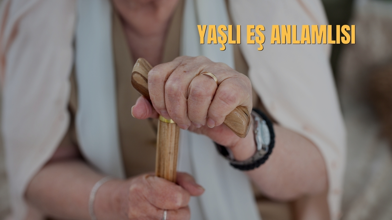 Yasli Es Anlamlisi Nedir